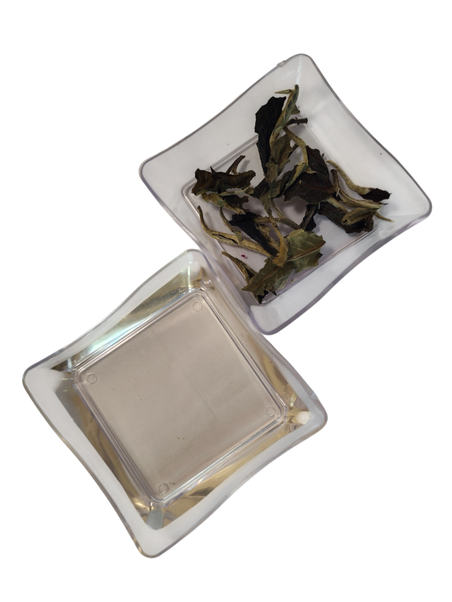 Yunnan White Peony