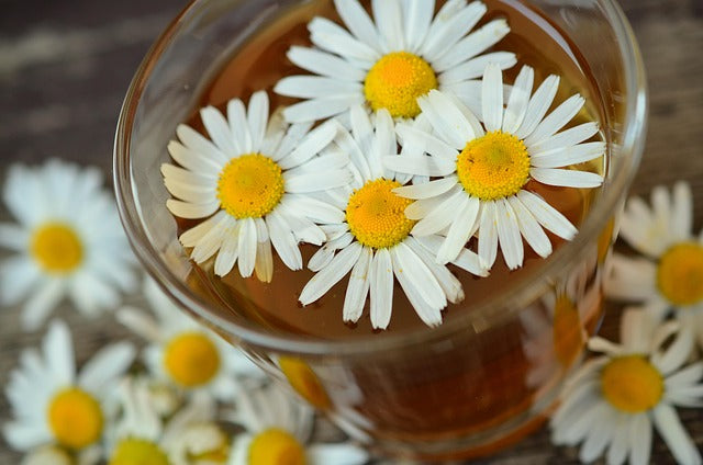 Chamomile White